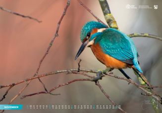 Unsere Heimat - Natur und Landschaft in Nordrhein-Westfalen – Bild 15