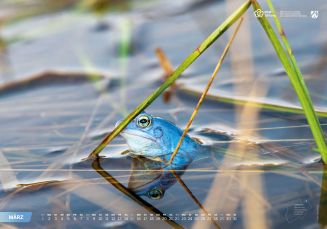 Unsere Heimat - Natur und Landschaft in Nordrhein-Westfalen – Bild 10