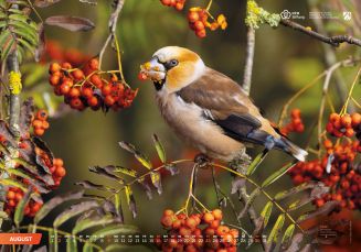 Unsere Heimat - Natur und Landschaft in Nordrhein-Westfalen – Bild 5