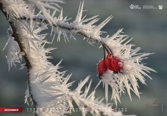 Unsere Heimat - Natur und Landschaft in Nordrhein-Westfalen – Bild 3